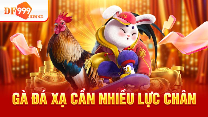 Thế gà đá xạ là gì