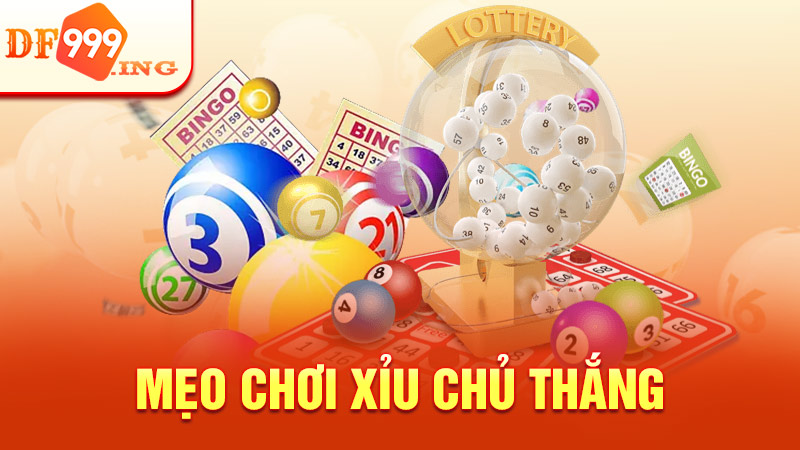 xỉu chủ miền bắc